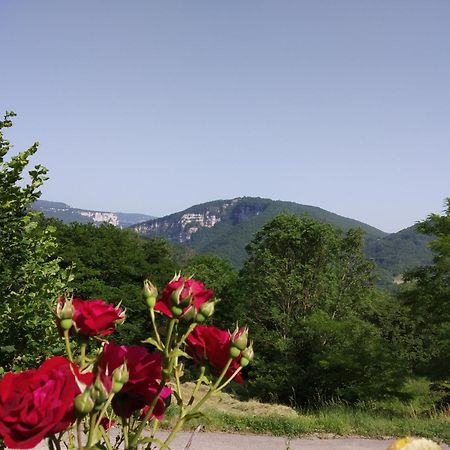 Au Chalet D'Anna Saint-Rambert-en-Bugey エクステリア 写真