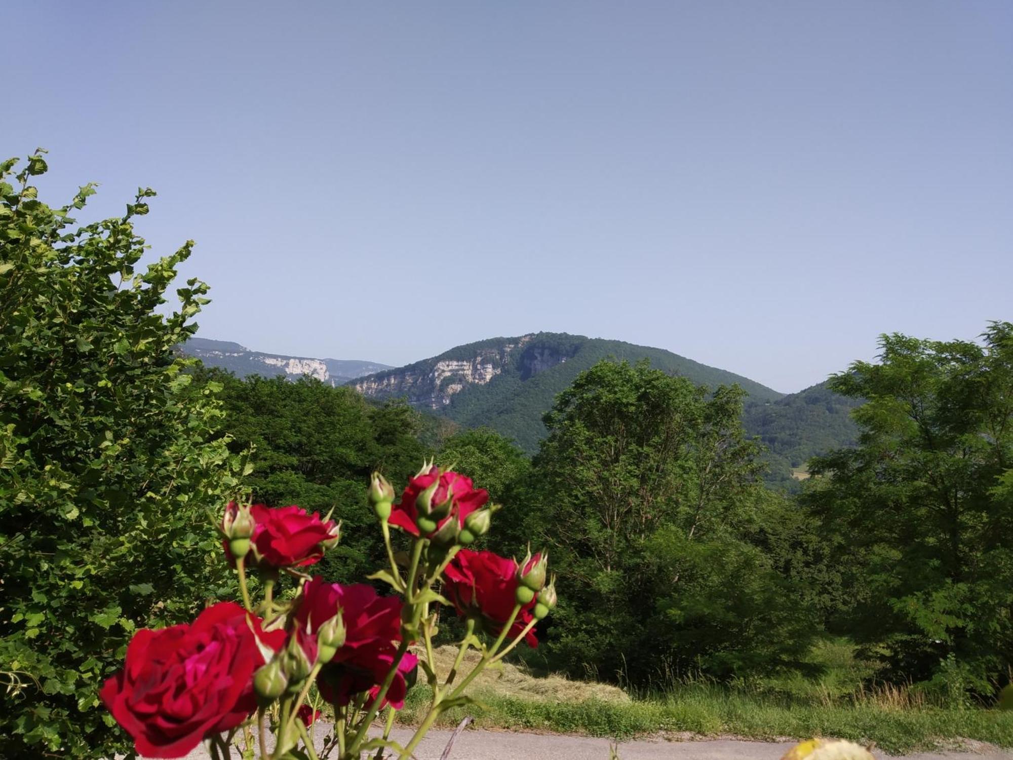 Au Chalet D'Anna Saint-Rambert-en-Bugey エクステリア 写真