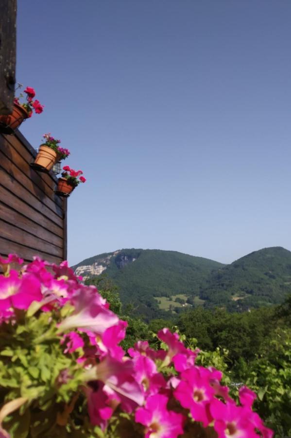 Au Chalet D'Anna Saint-Rambert-en-Bugey エクステリア 写真