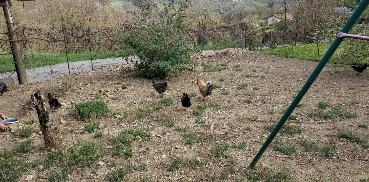 Au Chalet D'Anna Saint-Rambert-en-Bugey エクステリア 写真