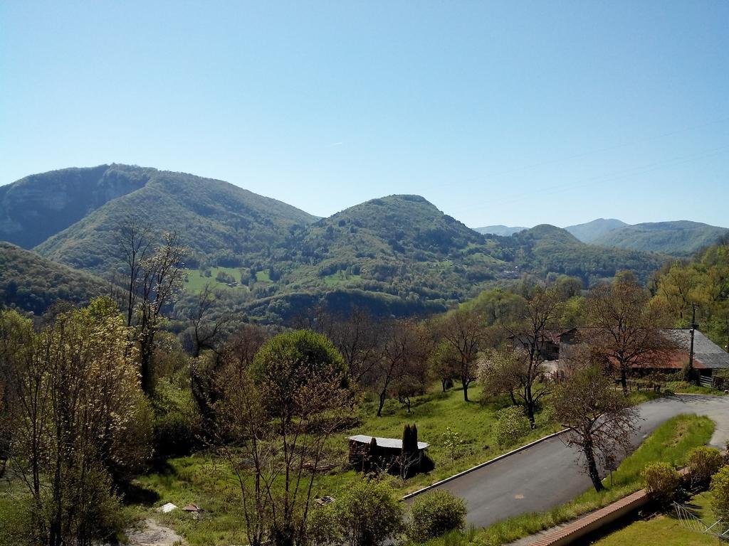 Au Chalet D'Anna Saint-Rambert-en-Bugey エクステリア 写真