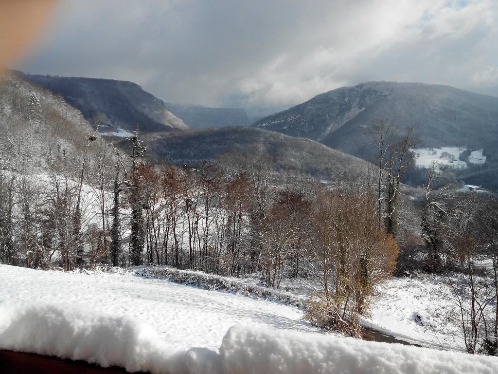 Au Chalet D'Anna Saint-Rambert-en-Bugey エクステリア 写真