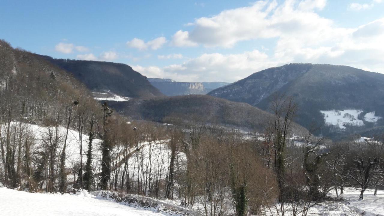 Au Chalet D'Anna Saint-Rambert-en-Bugey エクステリア 写真